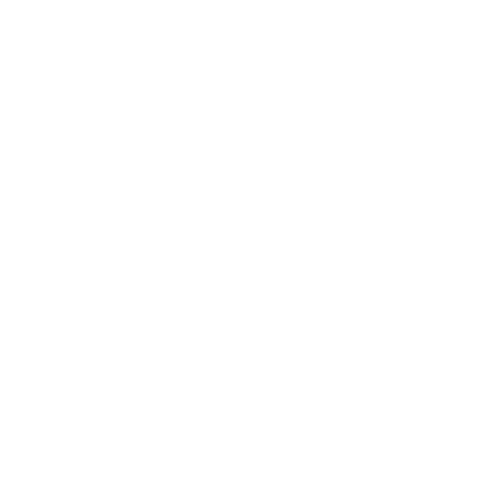 Vocational Training Development Institute